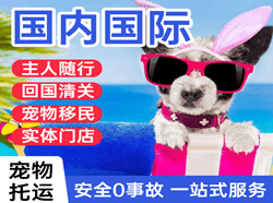 临汾空运公司国际宠物托运 【国